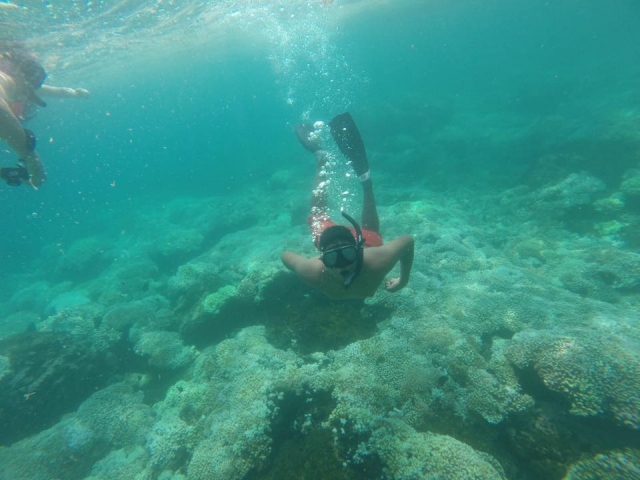 Eau Pacifico 